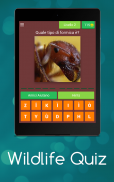 Wildlife Quiz screenshot 4