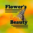 Flowers Beauty Icon
