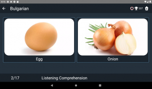 Bulgarian Language Tests screenshot 8