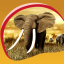 Fonds d'écran d'éléphant Icon