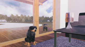 Simulator Anjing Rottweiler screenshot 10