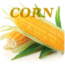 Health Benefits Of Corn