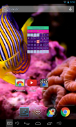 Simple Calendar Widget screenshot 0