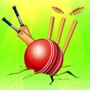 Idle Cricket Tycoon: Play T20, ODI & Test Matches Icon