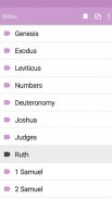 Audio Bible offline KJV screenshot 11