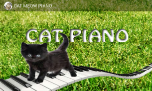 Cat piano screenshot 0
