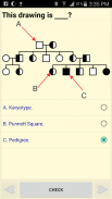 Genetics MCQ screenshot 2