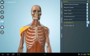 Anatomy 3D - Anatronica screenshot 2