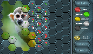 HexLogic - Zoo screenshot 5