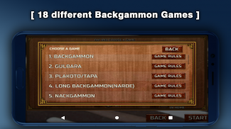 Backgammon 16 Games screenshot 1