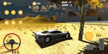 Real Car Drive - Desert Drive screenshot 0
