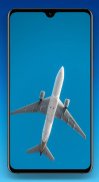 Plane Wallpaper 4K screenshot 10