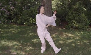 Tai Chi for Beginners 48 Form screenshot 10