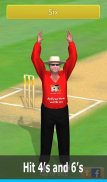 Smashing Cricket: cricket game screenshot 11