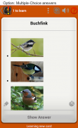 Memorion Flashcard Learning screenshot 2