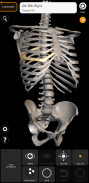 Esqueleto | Anatomía 3D screenshot 3