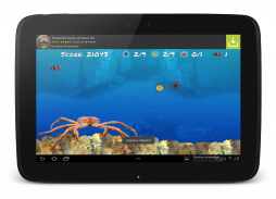 Wonder Fish Бесплатные Игры HD screenshot 12
