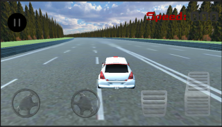 Suzuki Swift Car Game screenshot 0