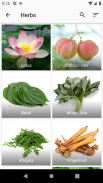 Herbs Encyclopedia screenshot 9