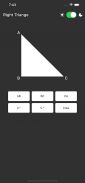 Right Triangle Calculator screenshot 8