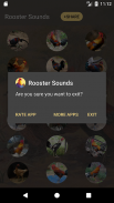 Rooster Sounds and Ringtone screenshot 6