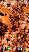 Осенние листья 3D живые обои screenshot 9
