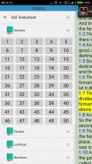 NKJV Holy Bible Offline Audio screenshot 3