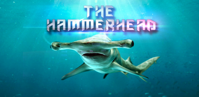 The Hammerhead Shark