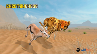 Cheetah Chase Simulator screenshot 0