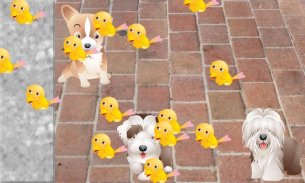 Puppy Dog Puzzles for Toddlers screenshot 2