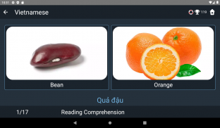 Vietnamese Language Tests screenshot 2