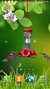 Hummingbirds wallpaper screenshot 1