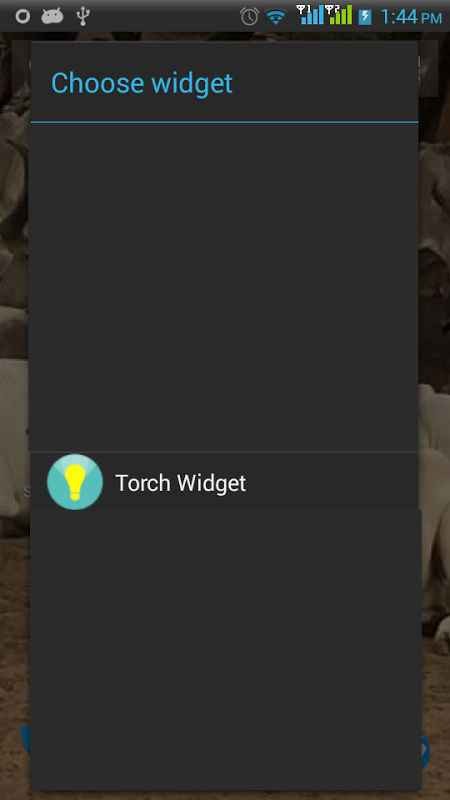 torch widget
