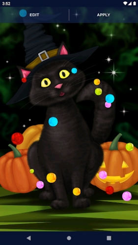 Halloween Black Cat Wallpaper screenshot 4