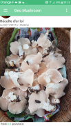 GeoMushroom : Champignon cueillette mycologie screenshot 0