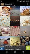 Seashell Wallpapers screenshot 6