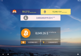 Crypto Ticker Widget screenshot 0