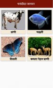 Animal Information in Hindi screenshot 3