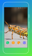 Grasshopper Wallpaper screenshot 14