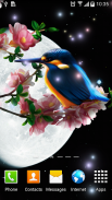 Sakura and Bird Live Wallpaper screenshot 6