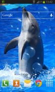 Animal Dolphin Live Wallpaper screenshot 1