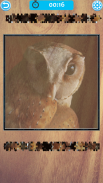 Owl Jigsaw Puzzle screenshot 6