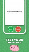 True or False Quiz App screenshot 1