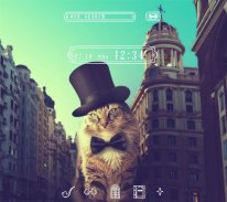 Cat  Theme-Feline Gentleman- screenshot 4