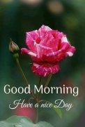 Good Morning GIF screenshot 5