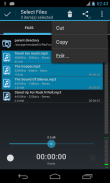 RecForge II Pro Audio Recorder screenshot 19