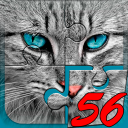 Big puzzles with cats icon