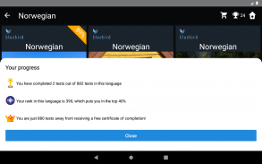 Norwegian Language Tests screenshot 10