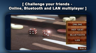 Backgammon 16 Games screenshot 3