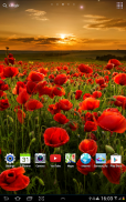 Flower Live Wallpaper screenshot 13